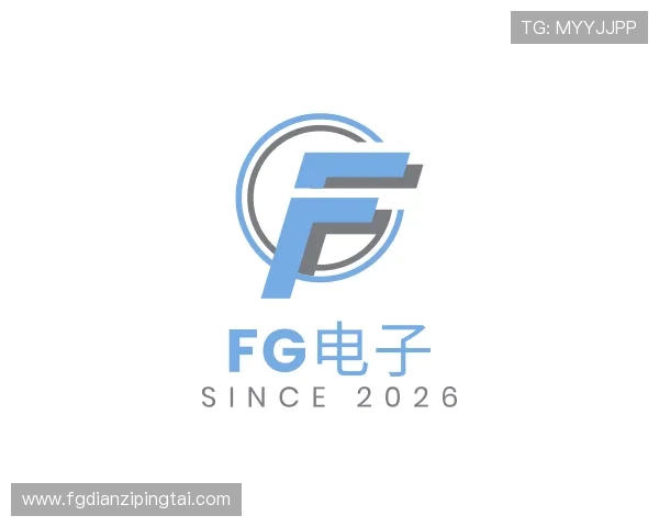 介绍FG电子
